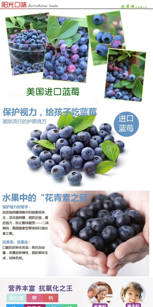 蓝莓淘宝详情描述页面
