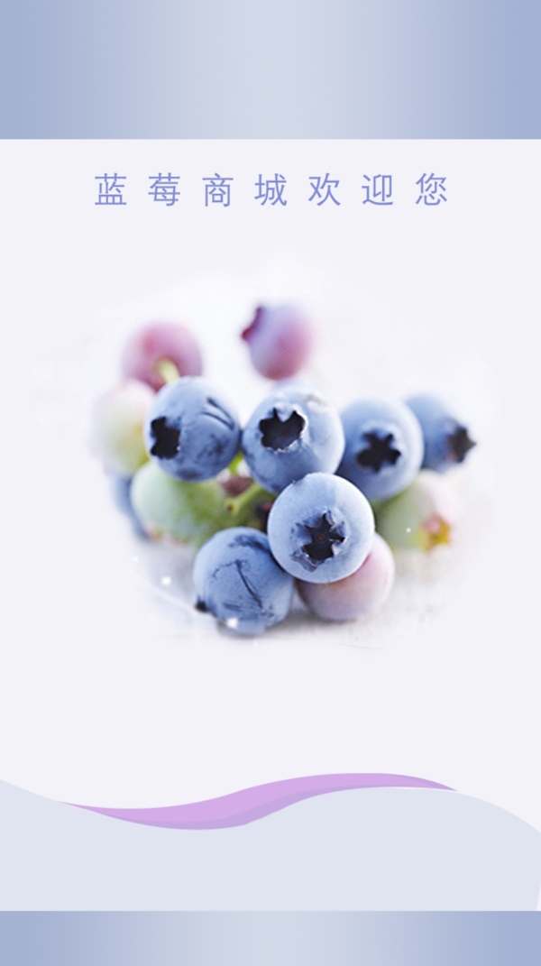 蓝莓启动图片