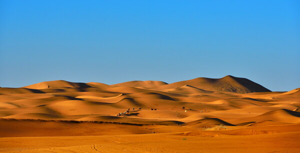 美丽的沙漠风景图片