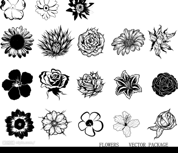 15种黑白花图片