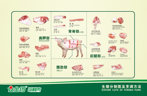 金锣猪肉分割图