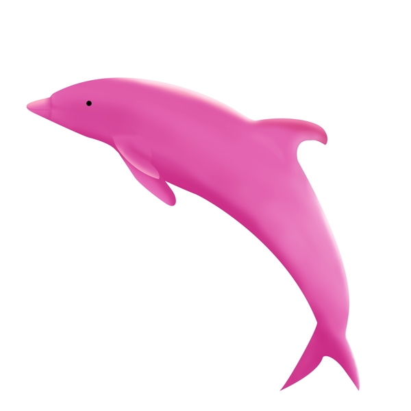 海洋生物海豚