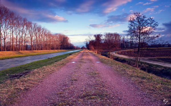 道路风景