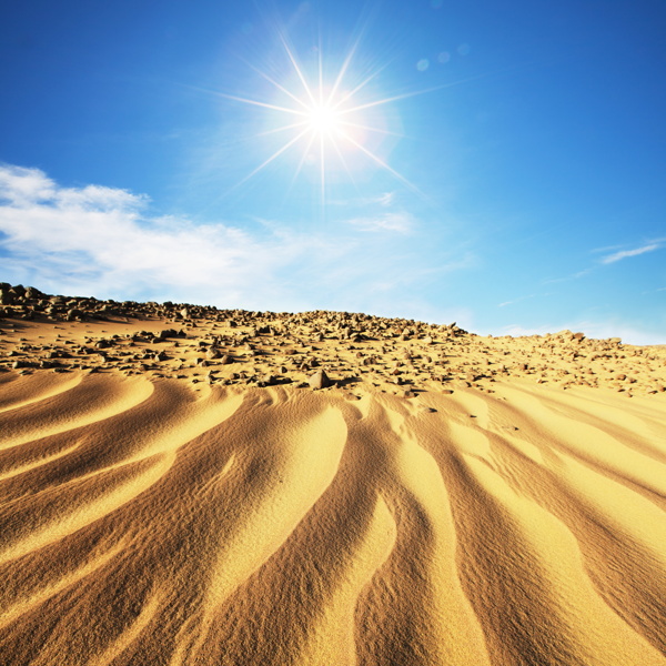 阳光下的沙漠图片