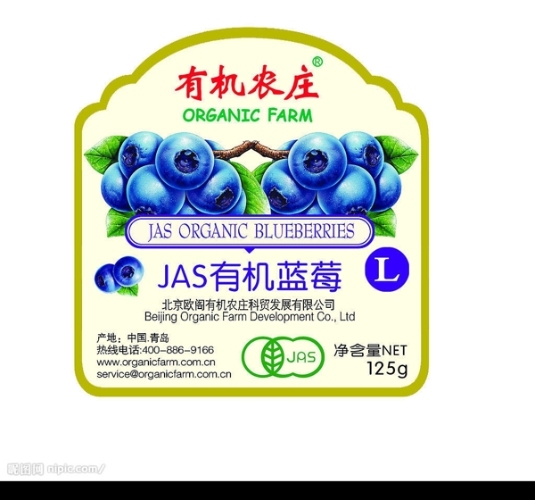 蓝莓标签图片