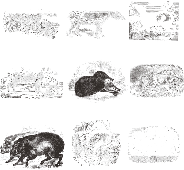 哺乳类欧美古典线条矢量素材