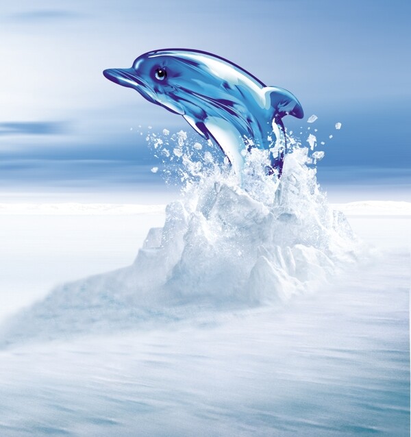 冰川跳跃的海豚海报