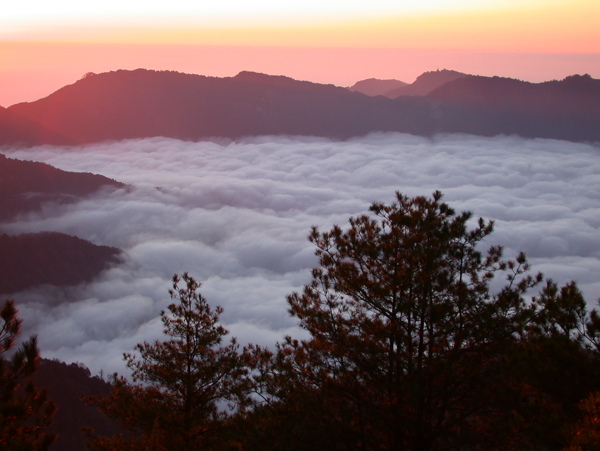 阿里山云海图片