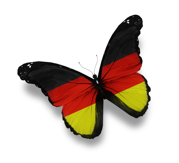 德国国旗蝴蝶图片