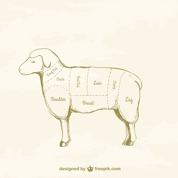 手绘羊肉