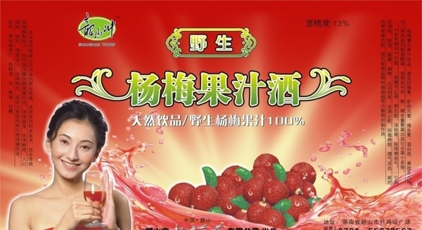 杨梅果汁平面广告设计矢量图图片