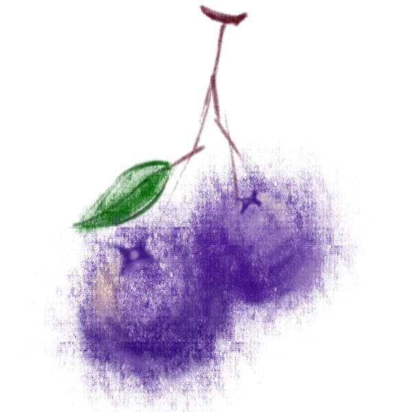 水彩风格蓝莓水果紫色