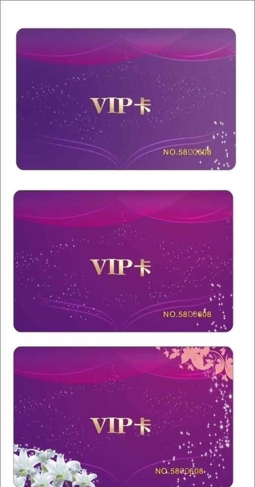 漂亮VIP卡图片