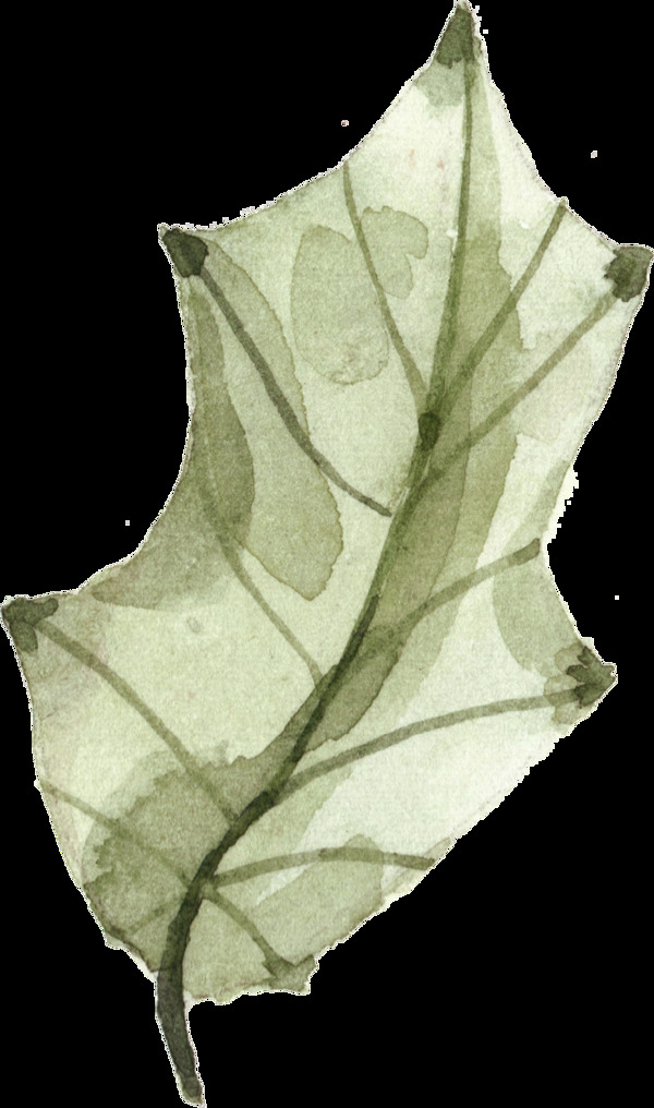 水墨树叶透明装饰素材