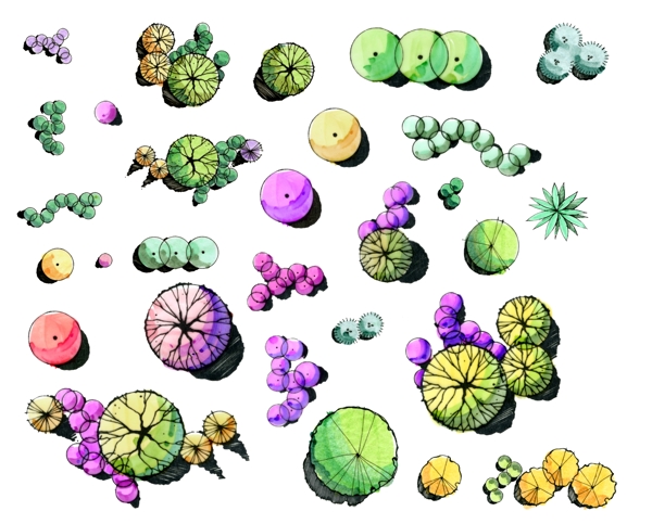 手绘平面植物图片