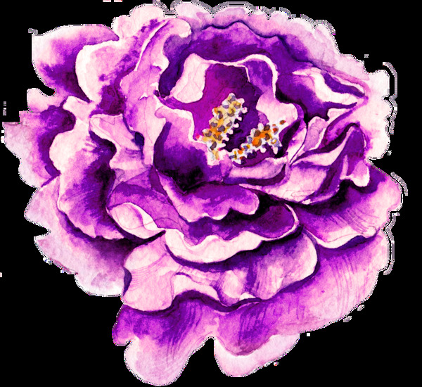 一朵紫色水彩花透明素材png