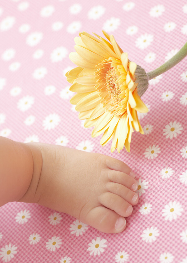 可爱婴儿小脚与鲜花图片