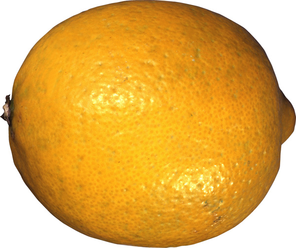 橙色柠檬特写图片
