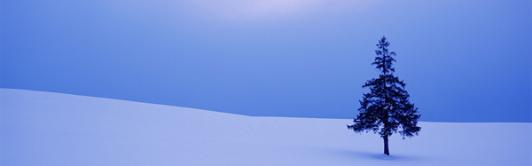 冬天雪景背景图片素材27