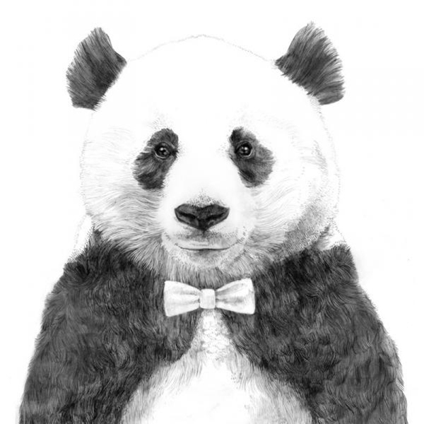 位图插画动物熊猫领结免费素材
