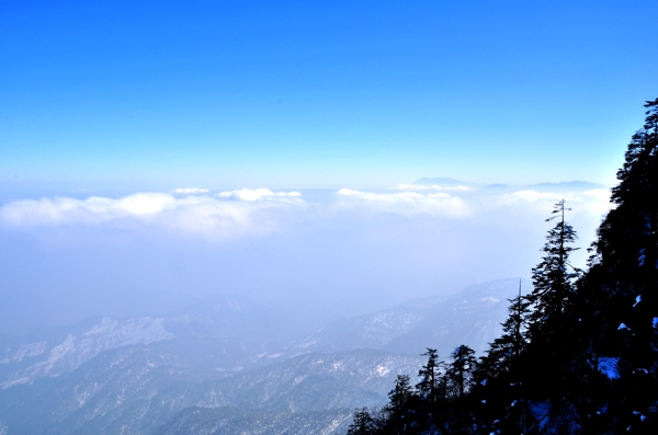 瓦屋山国家森林公园图片