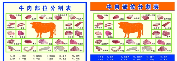 牛肉部位分割表