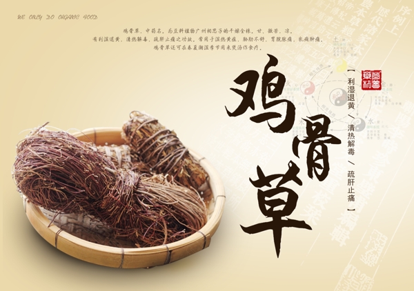 干货鸡骨草banner