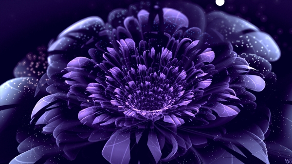 唯美梦幻紫色花卉图片