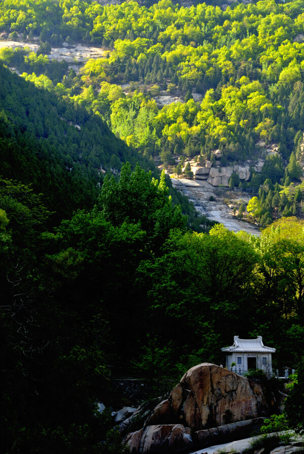 大山春色图片