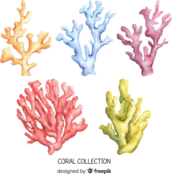 珊瑚素材