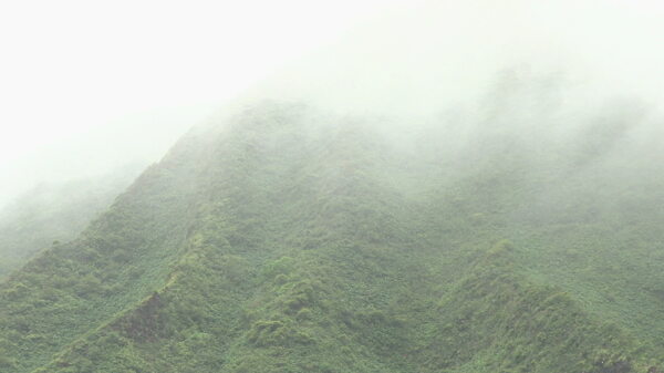 夏威夷山和雾的股票通过录像一边视频免费下载
