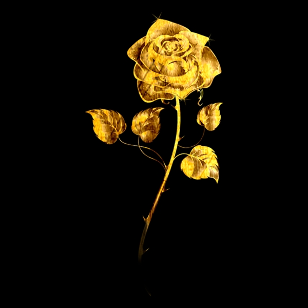 金色玫瑰黄金玫瑰特效