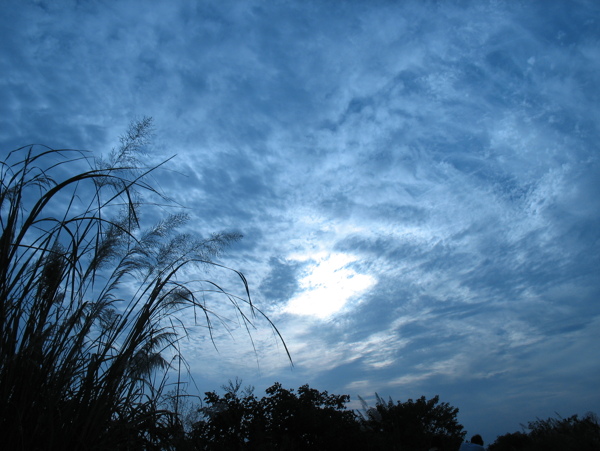 向晚的天空2图片