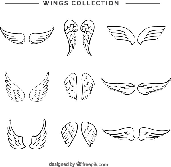 各种手绘翅膀双翼矢量素材