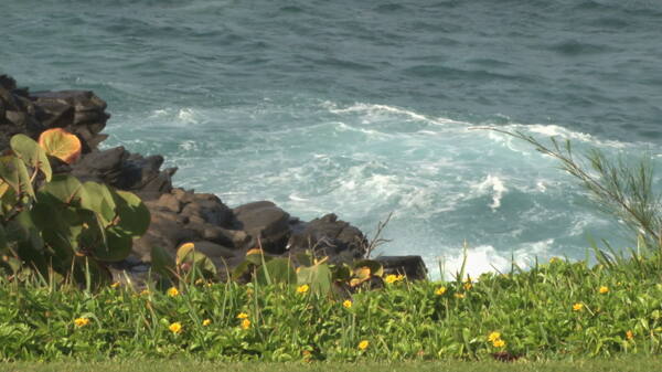 巨浪的夏威夷景观股票视频视频免费下载