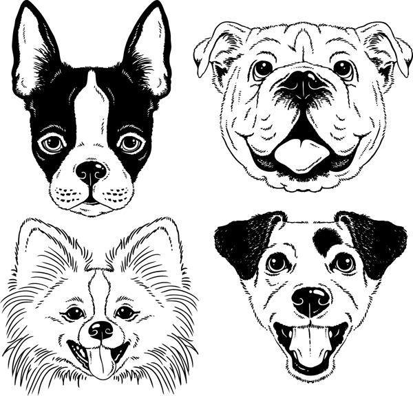 小狗卡通动物设计动画图片