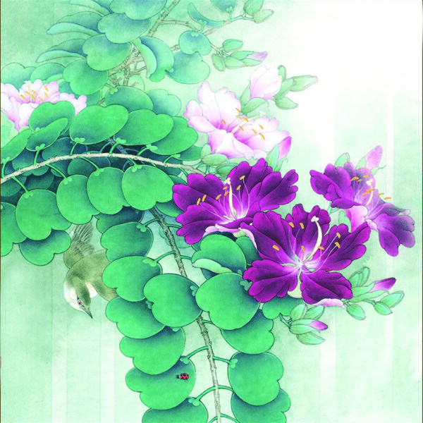 紫金花开