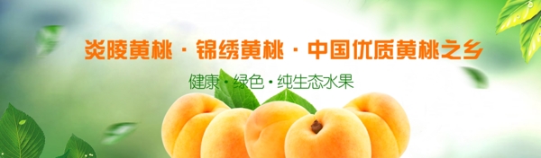 淘宝网站通栏banner水果