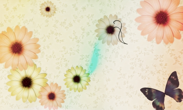 多色菊花多元素背景