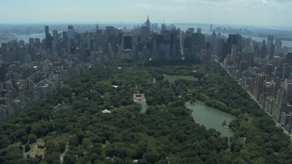 纽约市中央公园股票视频视频免费下载