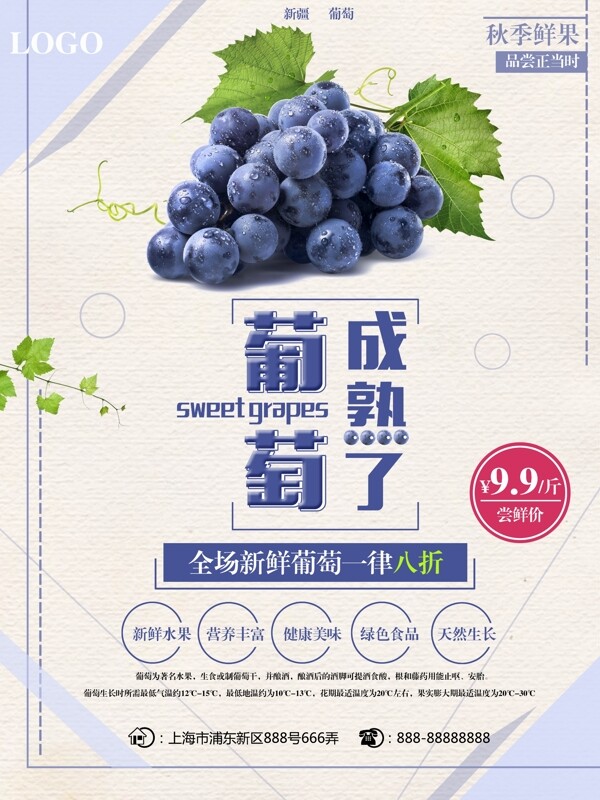 秋季鲜果葡萄成熟了鲜货上市优惠促销海报