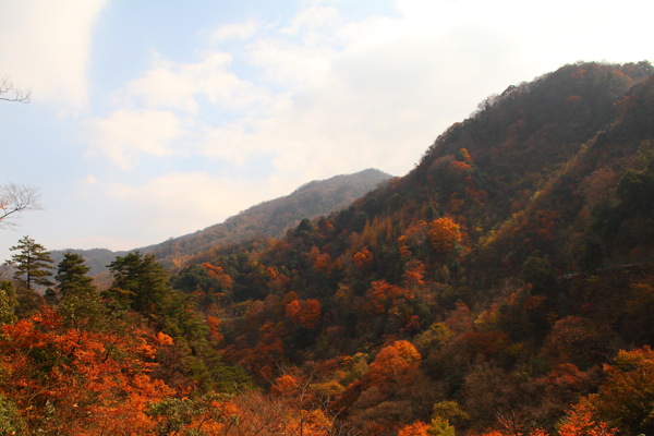 山水风光图片