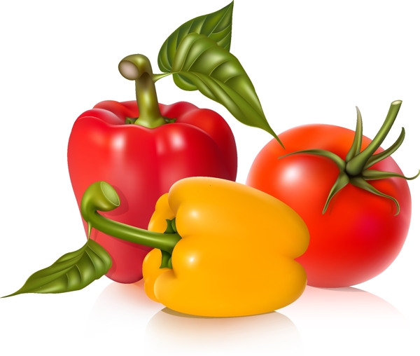 柿子椒与番茄