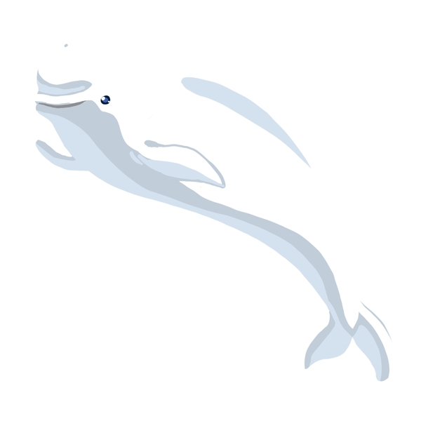 白色图案海豚