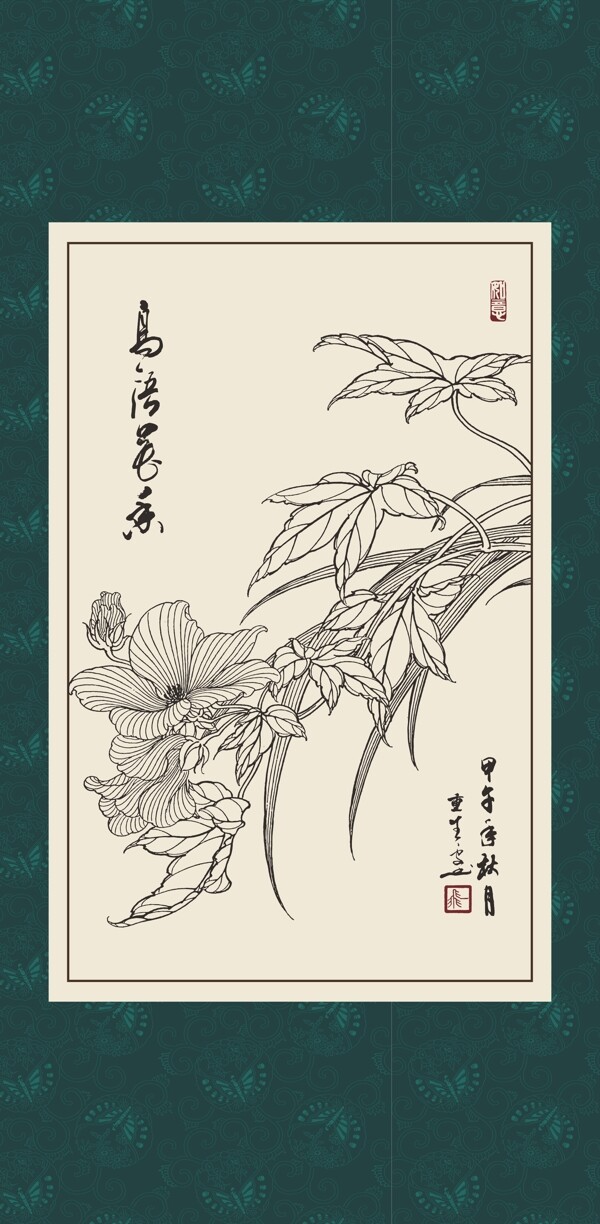 草芙蓉图片