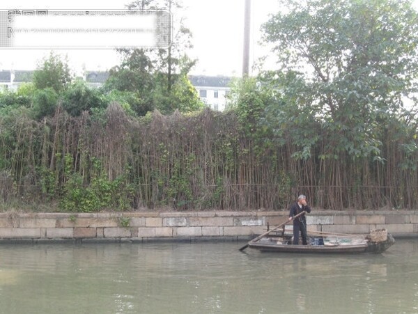西塘风光水水中倒影船树