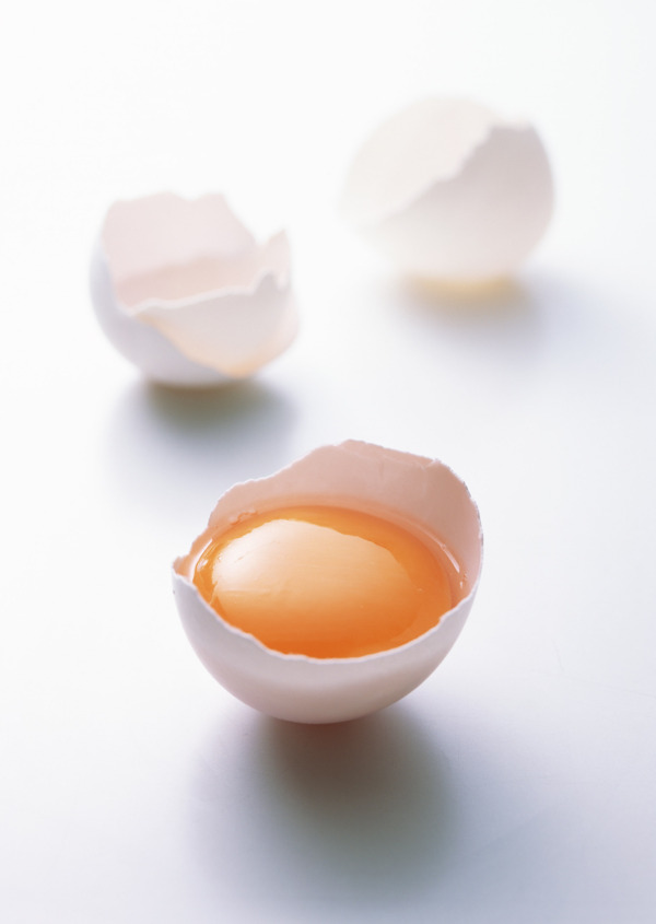 蛋壳与蛋黄图片