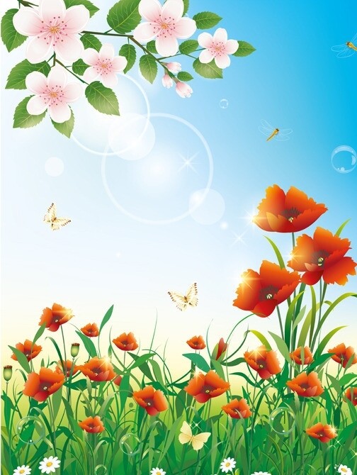夏天花卉花朵背景图片