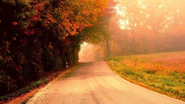 秋天的小街道