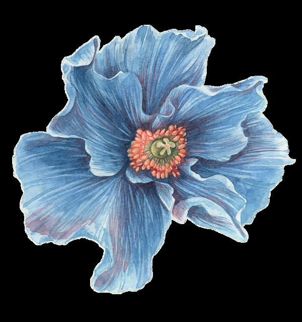 蓝色立体花卉png透明素材